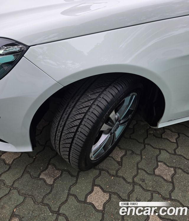 Mercedes-Benz E-Class E220 CDI Avantgarde