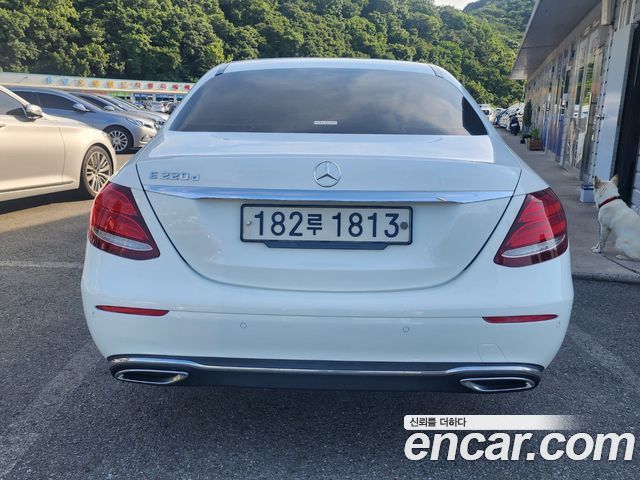 Mercedes-Benz E-Class E220 Bluetec Avantgarde