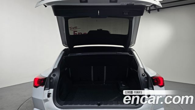 BMW X2 (F39) xDrive 20i M Sport
