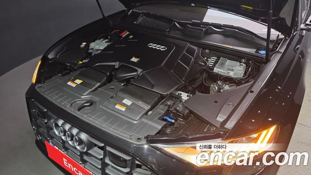 Audi Q8 55 TFSI Quattro Premium