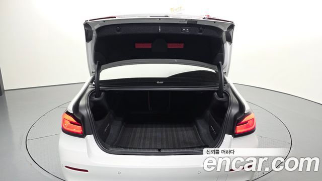 BMW 5-Series 520i Luxury