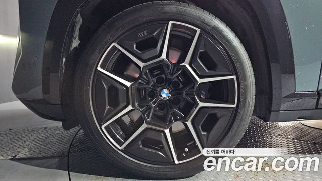 BMW XM 4.4 Lable
