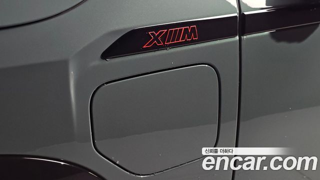 BMW XM 4.4 Lable