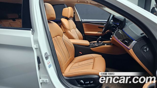 BMW 5-Series 520i Luxury