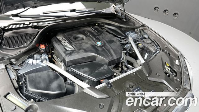 BMW 5-Series 520i Luxury