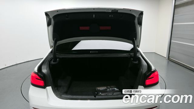 BMW 5-Series 530i Luxury
