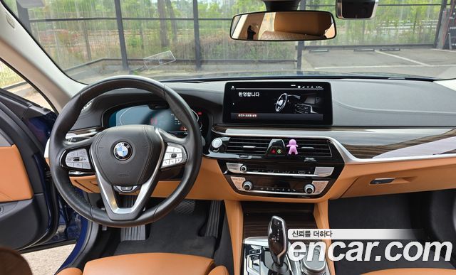 BMW 5-Series 520i Luxury