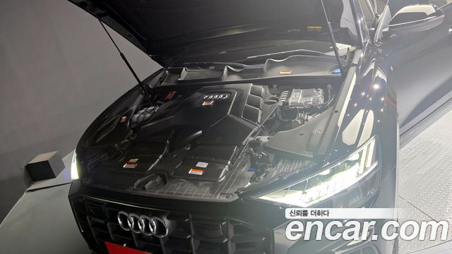 Audi Q8 55 TFSI Quattro Premium