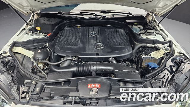 Mercedes-Benz E-Class E220 Bluetec Avantgarde