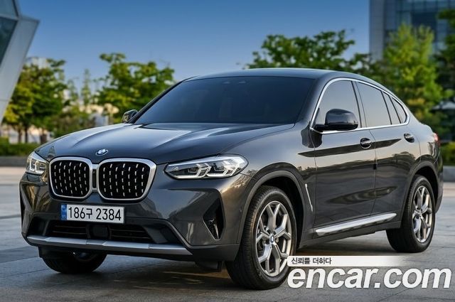 BMW X4 xDrive20i xLine
