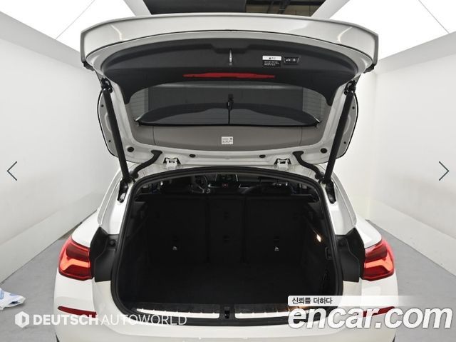 BMW X2 (F39) xDrive20i Advantage