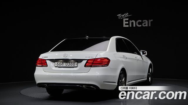 Mercedes-Benz E-Class E220 Bluetec Avantgarde