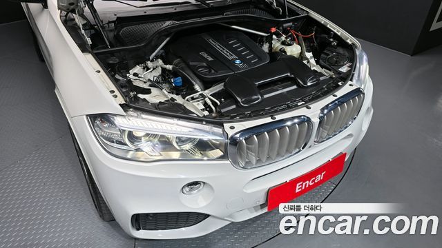 BMW X5 xDrive 30d Vision 100 Edition