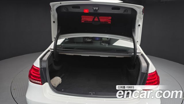 Mercedes-Benz E-Class E220 Bluetec Avantgarde
