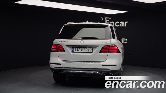 Mercedes-Benz GLE-Class GLE250 d 4MATIC