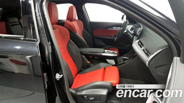 BMW X2 (F39) xDrive20i M Sport