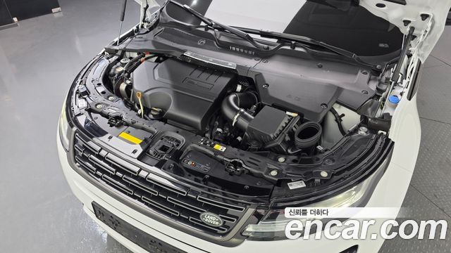 Land Rover Range Rover Evoque P250 Dynamic SE