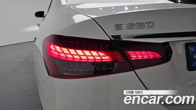Mercedes-Benz E-Class E250 Avantgarde