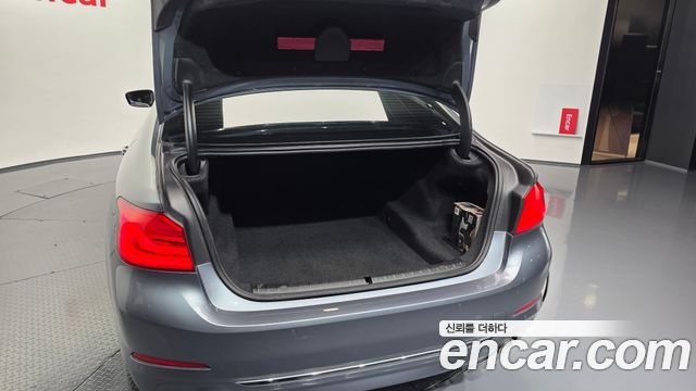 BMW 5-Series 520i Luxury
